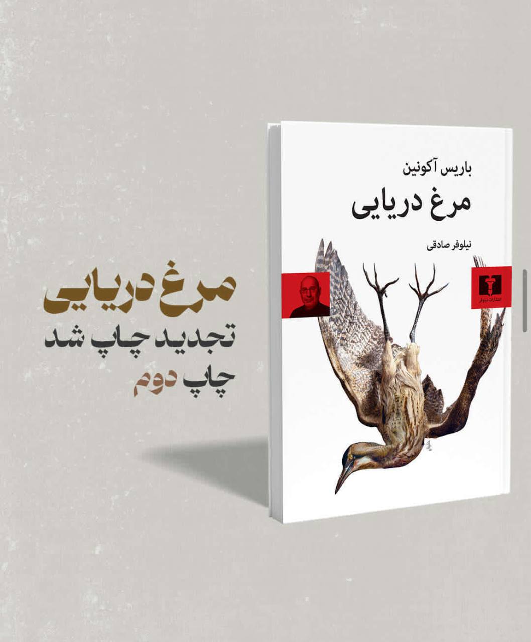 انتشار چاپ دوم «مرغ دریایی» اثر بوریس آکونین از نشر نیلوفر